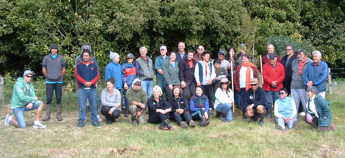 Tree Planting - He Whakatō Rākau