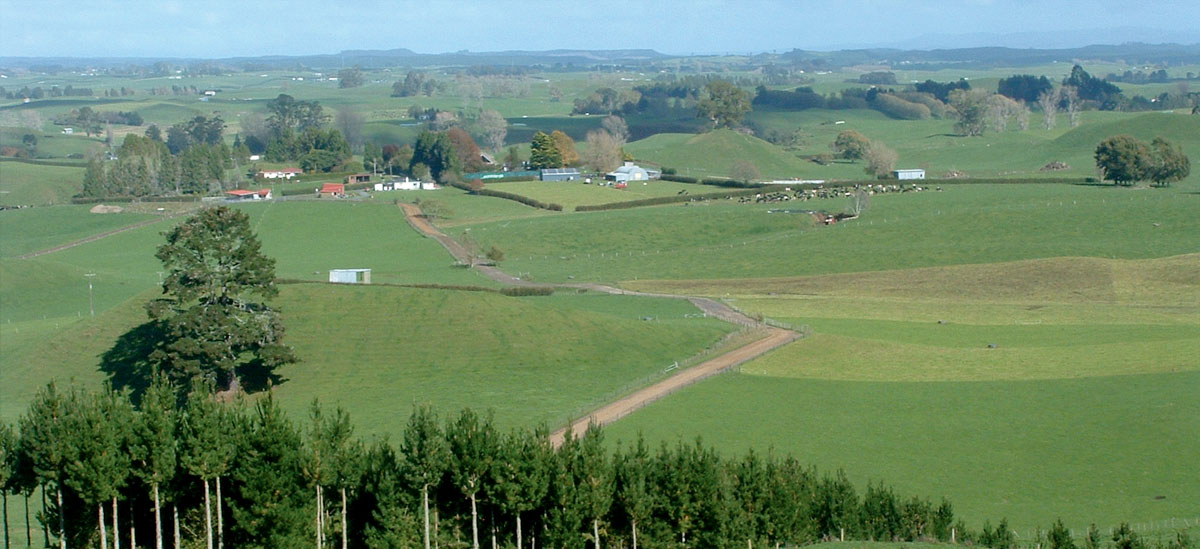 The Kokako Land Blocks - Ngā Wāhi Whenua o Kokako